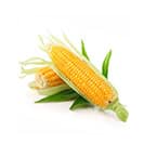 Sweet Corn